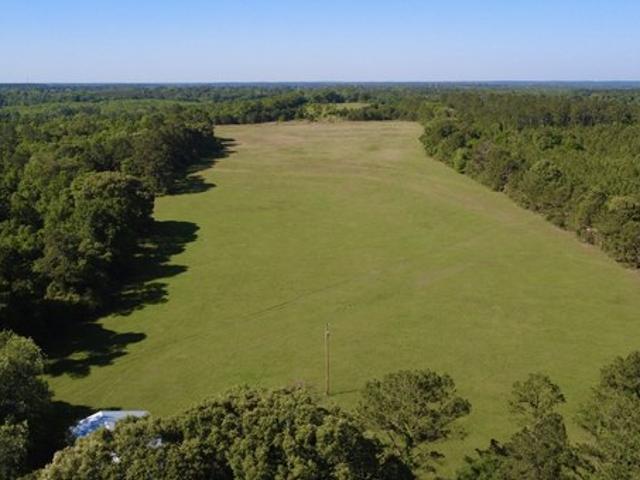 Land for sale in Brantley, Alabama