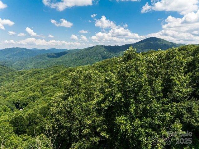 Land for sale in Yancey, North Carolina