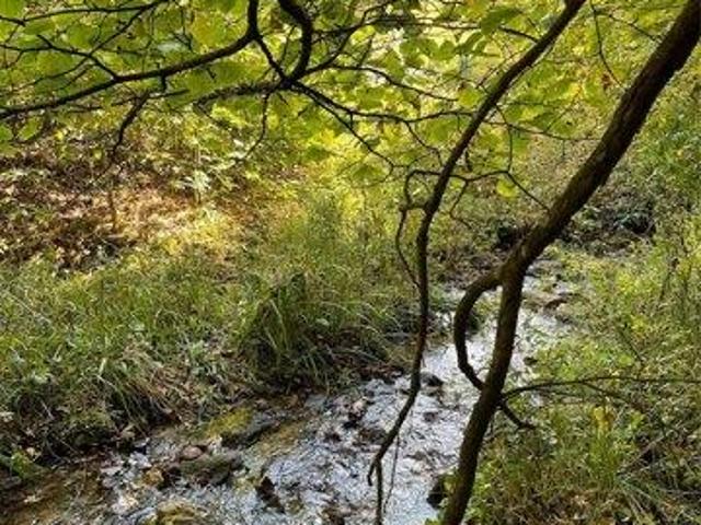 Land for sale in Yancey, North Carolina