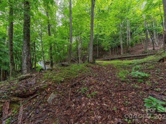 Land for sale in Yancey, North Carolina