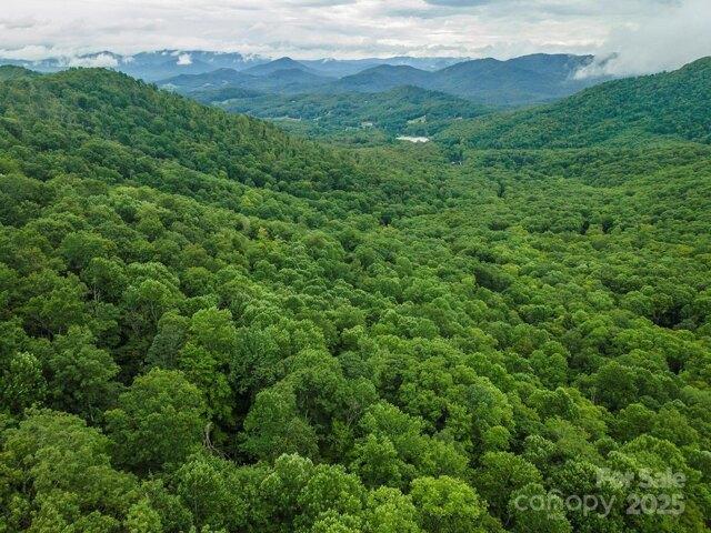 Land for sale in Yancey, North Carolina
