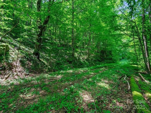 Land for sale in Yancey, North Carolina