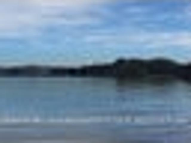 Land for sale in Coromandel, Waikato