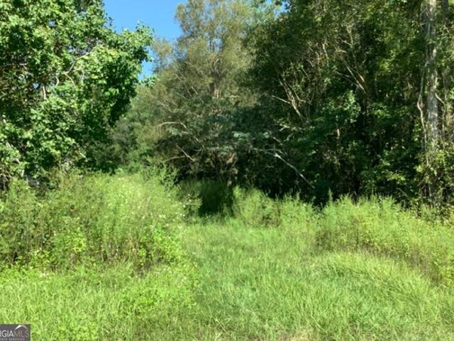 Land for sale in Georgia
