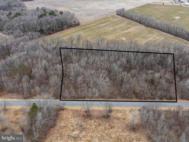 Land for sale in Ridgely