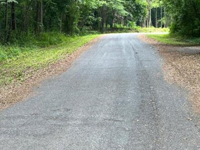 Land for sale in Ridgely