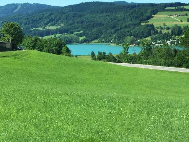 Büro mieten in Zell am Moos, Oberösterreich