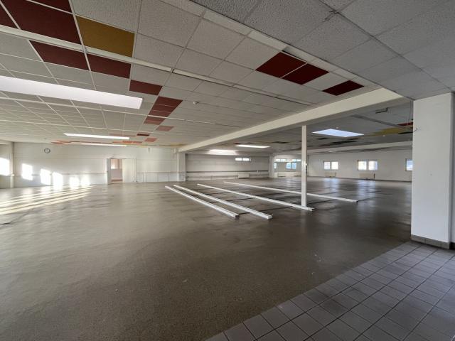 Gewerbe mieten in Wiener Neudorf, Niederösterreich