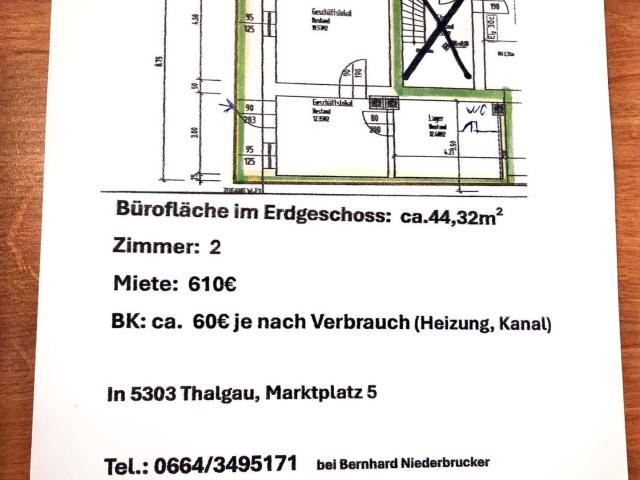 Büro mieten in Thalgau