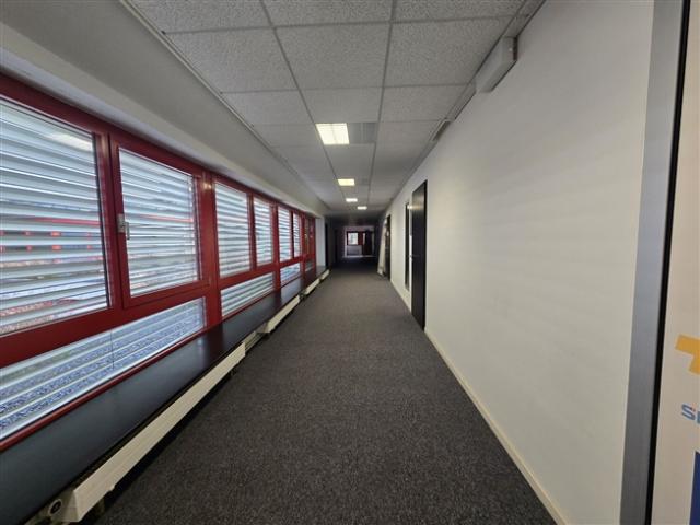 Büro mieten in Gland, Waadt
