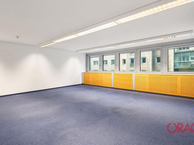 Büro mieten in Seestadt, Wien
