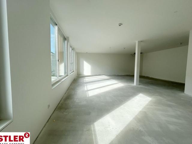 Büro mieten in Mödling, Niederösterreich