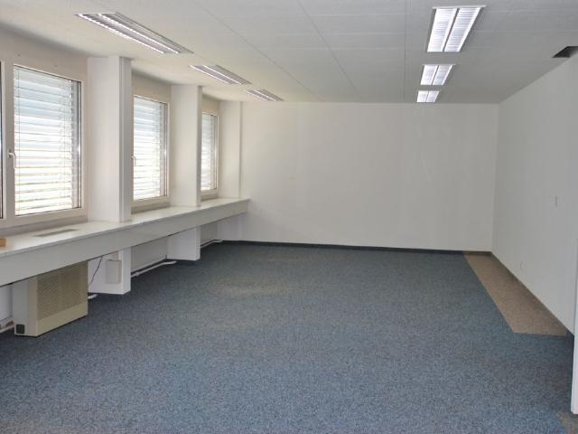 Immobilie kaufen in Brugg (AG), Aargau