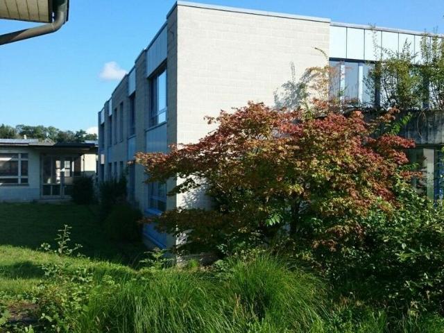 Büro mieten in Mumpf, Aargau