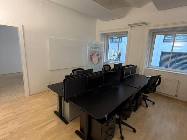 Gewerbe mieten in Innere Stadt, Wien