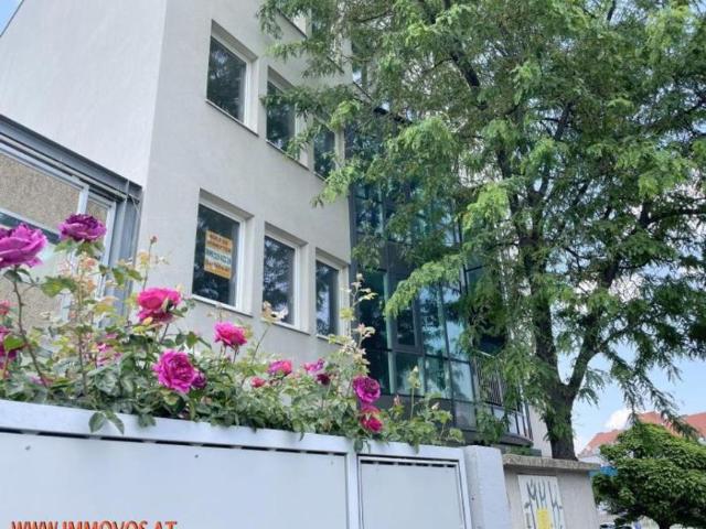 Gewerbe mieten in KG Innere Stadt, Wien