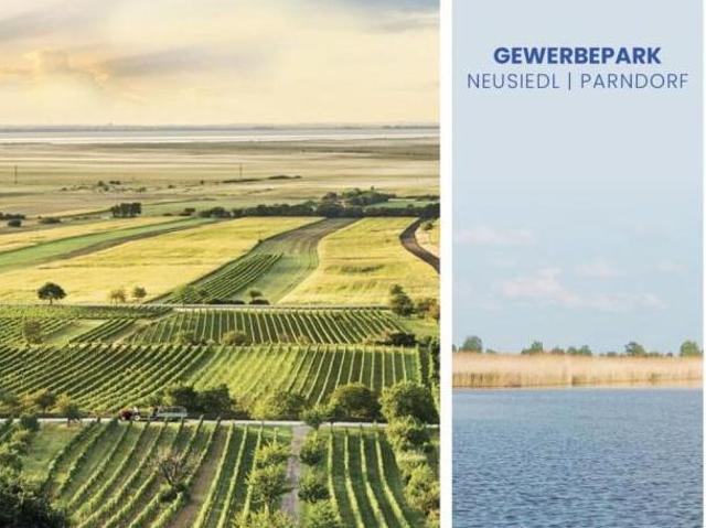 Gewerbe mieten in Neusiedl am See, Burgenland