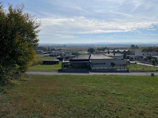 Gewerbe kaufen in Katastralgemeinde Eisenstadt, Eisenstadt