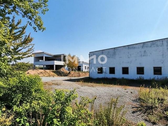 Gewerbe kaufen in Gattendorf, Bezirk Neusiedl am See