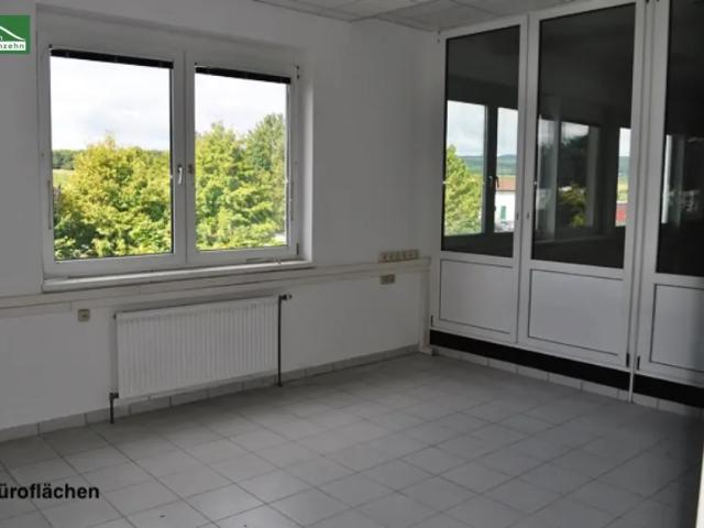 Gewerbe mieten in Donnerskirchen, Bezirk Eisenstadt-Umgebung