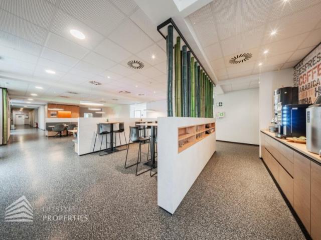 Gewerbe mieten in Gerasdorf bei Wien, Bezirk Korneuburg