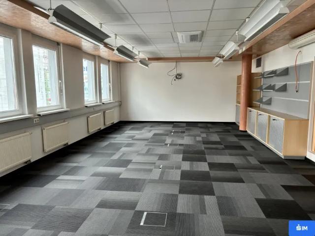 Gewerbe mieten in Andritz, Gersdorf-Feistritz