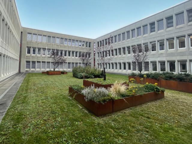 Immobilie mieten in Wettingen, Aargau