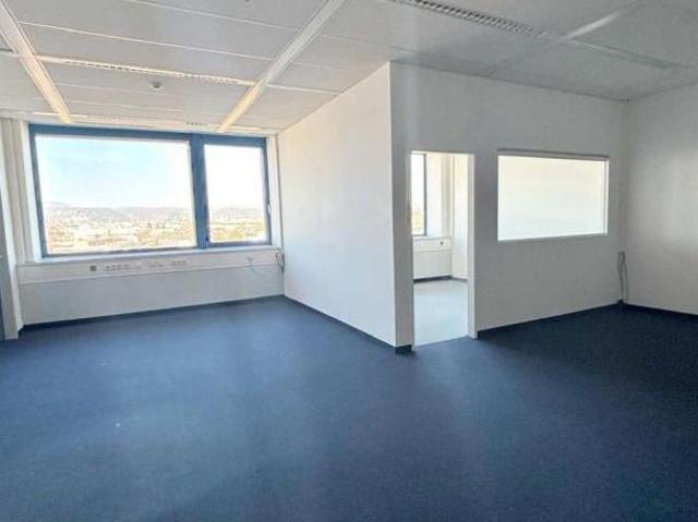 Gewerbe mieten in Wiener Neudorf, Niederösterreich