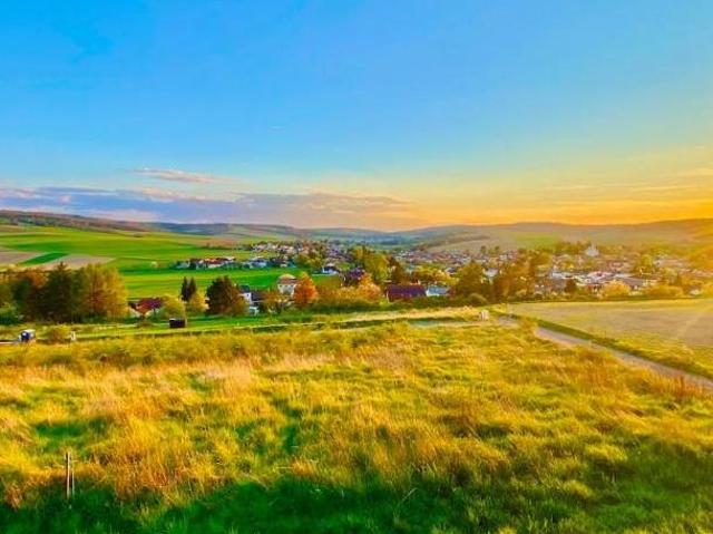 Gewerbe kaufen in Hollabrunn, Niederösterreich