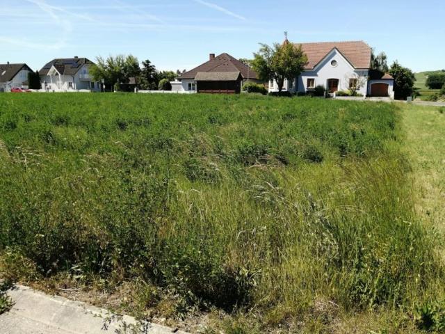 Gewerbe kaufen in Katastralgemeinde Höbersdorf, Sierndorf