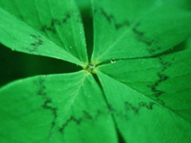 Gewerbe kaufen in Linden, St. Georgen am Walde