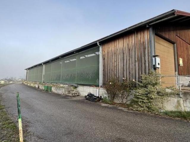 Gewerbe mieten in Micheldorf in Oberösterreich, Oberösterreich