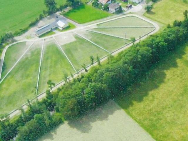 Gewerbe kaufen in Ried im Innkreis, Oberösterreich