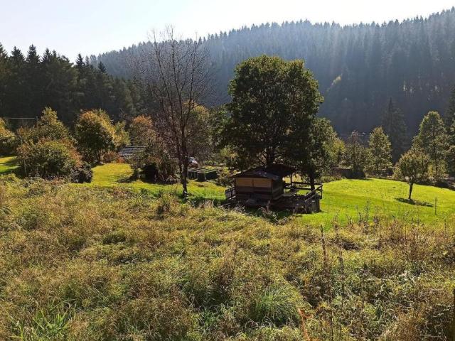 Gewerbe kaufen in Unternberg, Neufelden