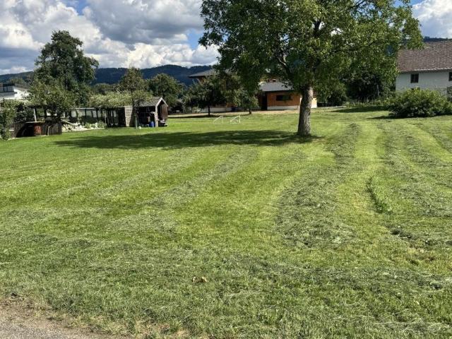Gewerbe kaufen in Alm, Regau