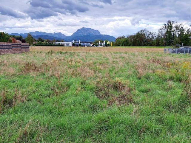 Gewerbe kaufen in Laakirchen, Oberösterreich