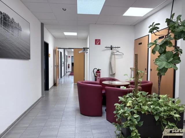 Gewerbe mieten in Katastralgemeinde St. Pölten, St. Pölten