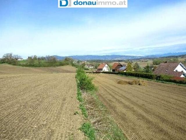Gewerbe kaufen in Groß St. Florian, Steiermark