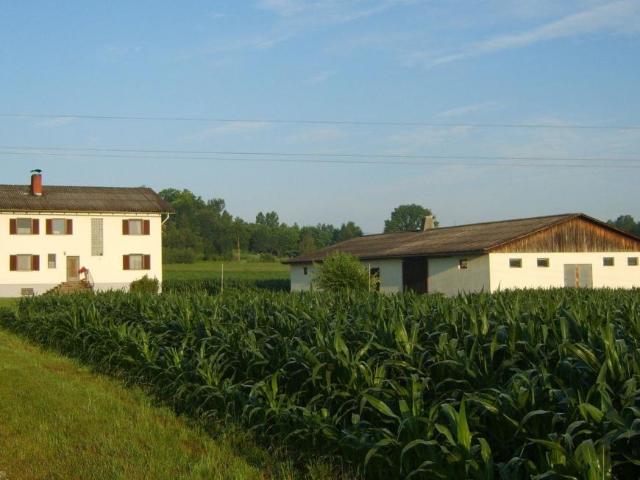 Gewerbe kaufen in Wettmannstätten, Steiermark