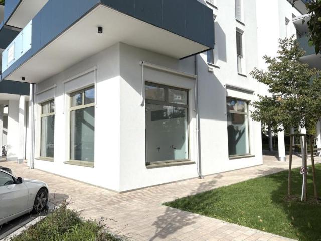 Gewerbe mieten in Katastralgemeinde Baierdorf, Graz