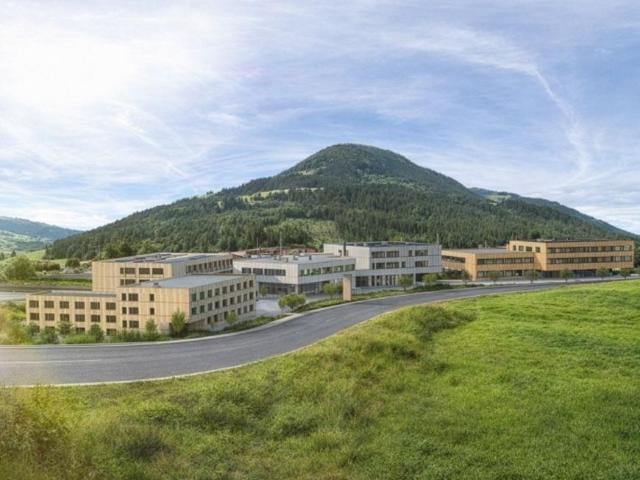 Gewerbe mieten in Kirchberg in Tirol, Tirol