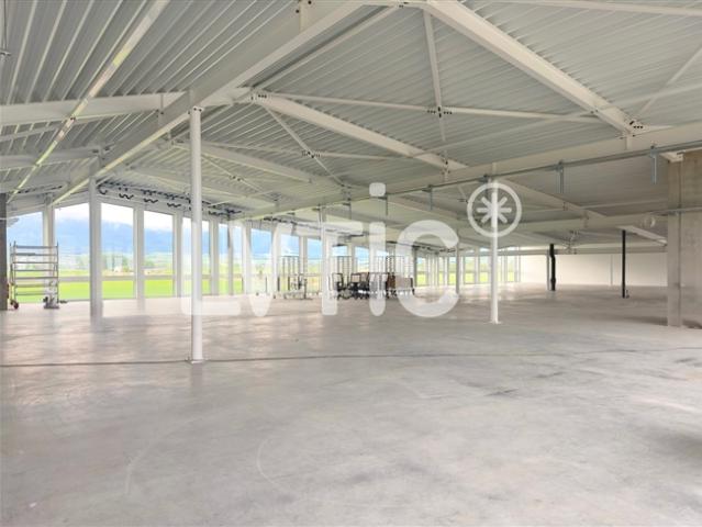 Büro mieten in Chavornay, Waadt