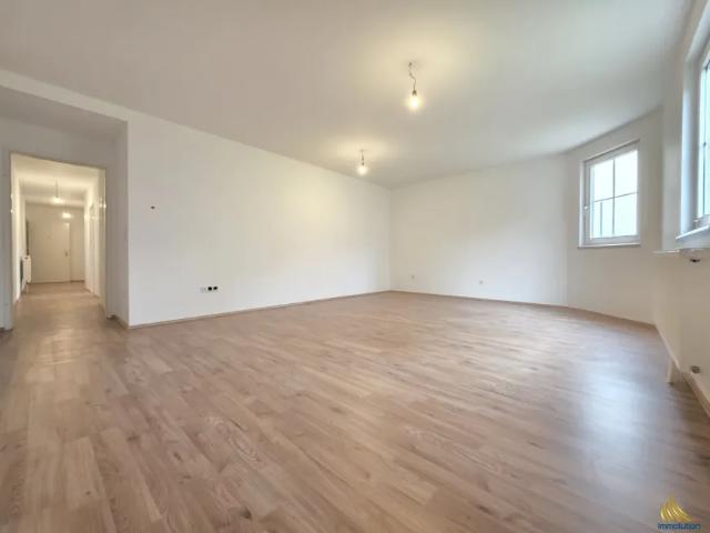 Gewerbe kaufen in Katastralgemeinde Weigelsdorf, Ebreichsdorf