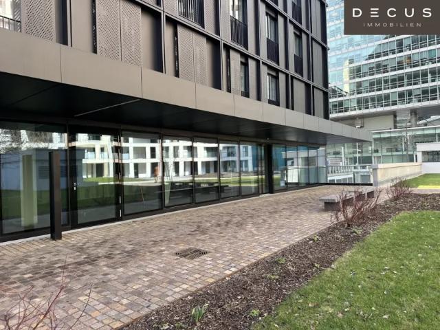 Gewerbe mieten in Seestadt, Wien