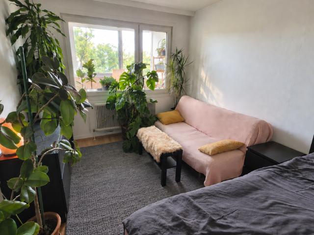 Gewerbe mieten in Innere Stadt, Wien
