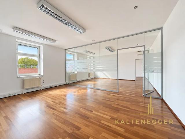 Gewerbe mieten in Seestadt, Wien