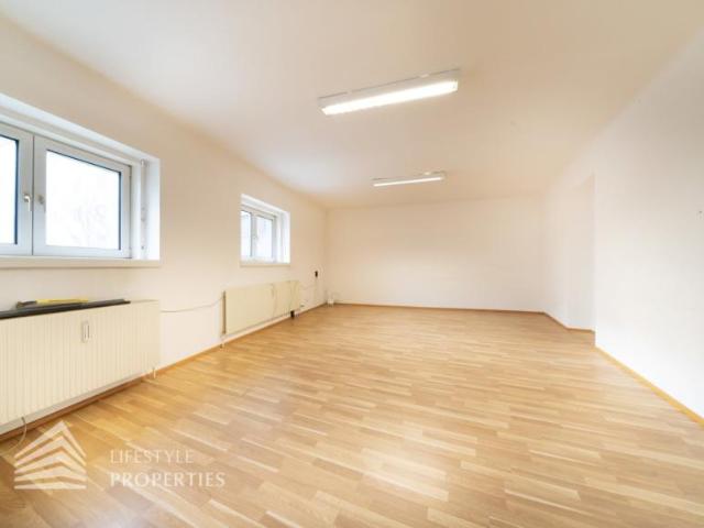 Gewerbe mieten in Seestadt, Wien