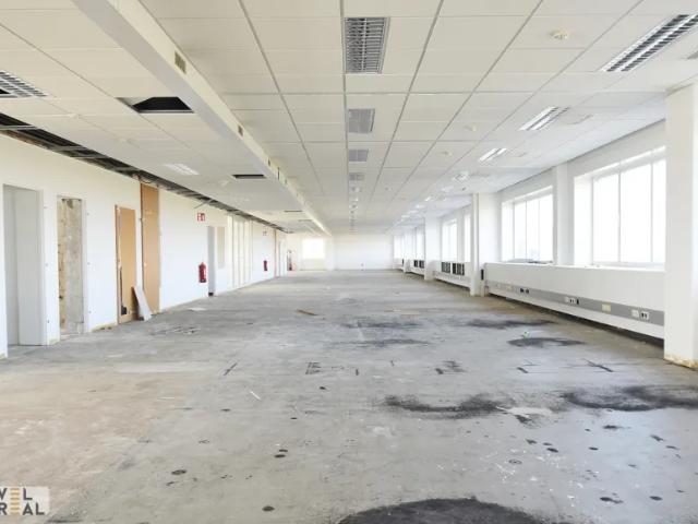 Gewerbe mieten in Wiener Neudorf, Niederösterreich