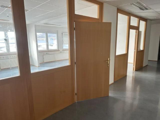 Gewerbe mieten in Wiener Neudorf, Niederösterreich