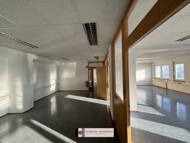 Gewerbe mieten in Wiener Neudorf, Niederösterreich